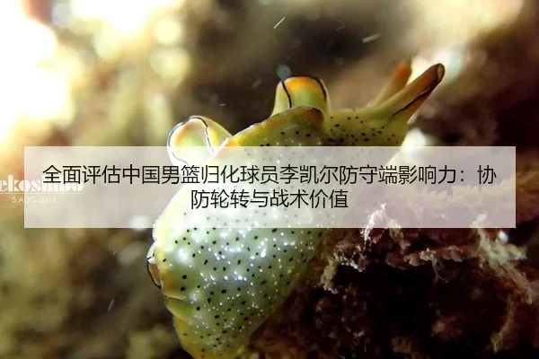 全面评估中国男篮归化球员李凯尔防守端影响力：协防轮转与战术价值